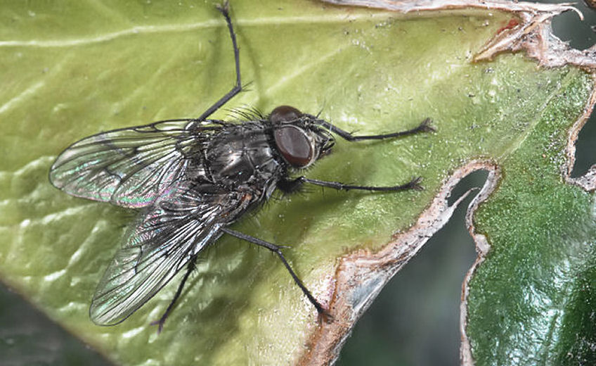 Richiesta lezione di ritocco